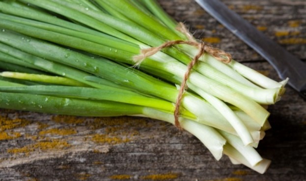 large bunch of green onions on board, food