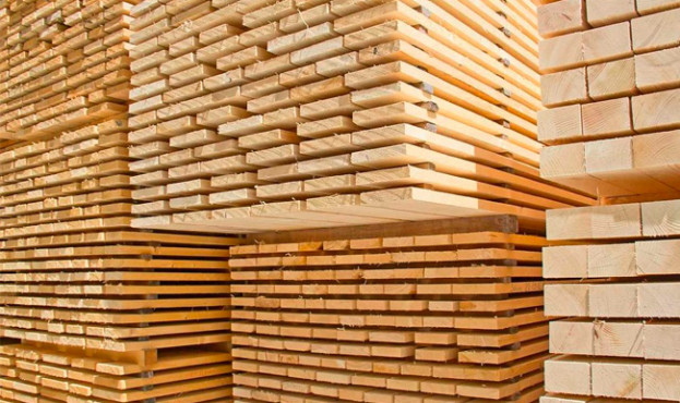 В Україні на електронні аукціони виставлено 4 млн кубів деревини – AgroNews