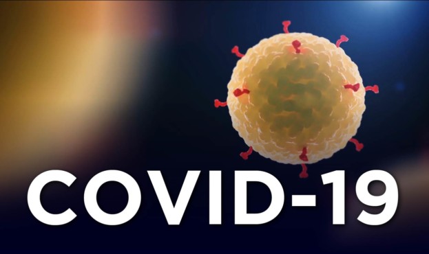 15841071405988555_coronavirus-thumb-img-COVID-01