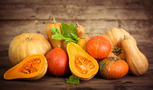 Fresh and colorful pumpkins and squashes