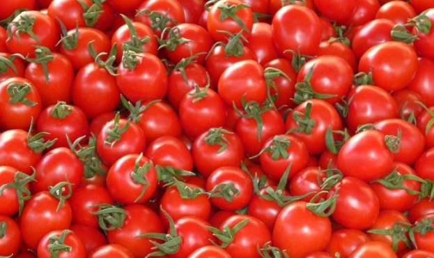 tomato-750x412
