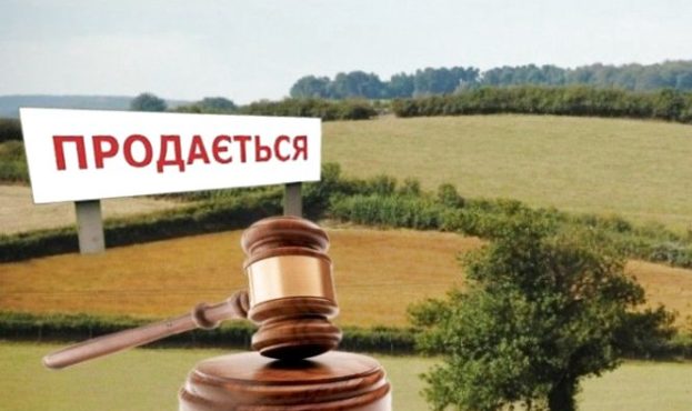 В Україні оприлюднено вартість землі на публічних аукціонах – AgroNews