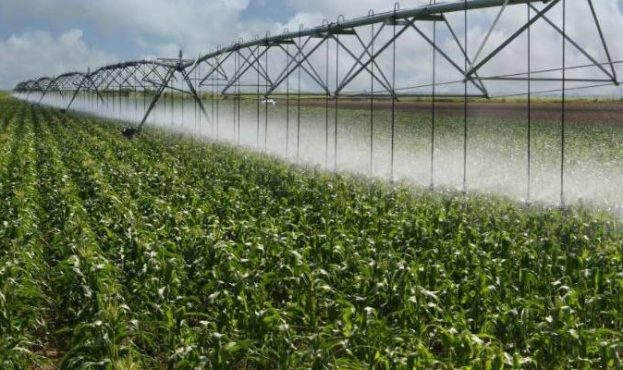 center-pivot-irrigation-drop-sprinklers-on-corn