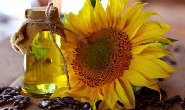Crude sunflower oil unrefined