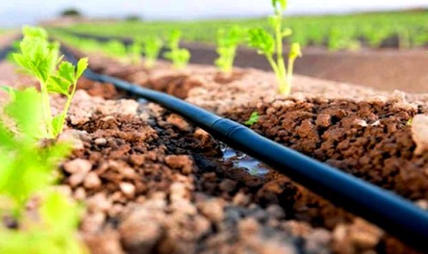 drip-irrigation-agriculture.1140x600