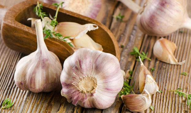 garlic  on  a wooden board