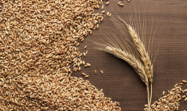 wheat on wooden background