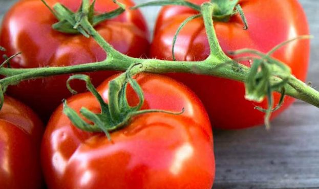 tomatoes-health-big