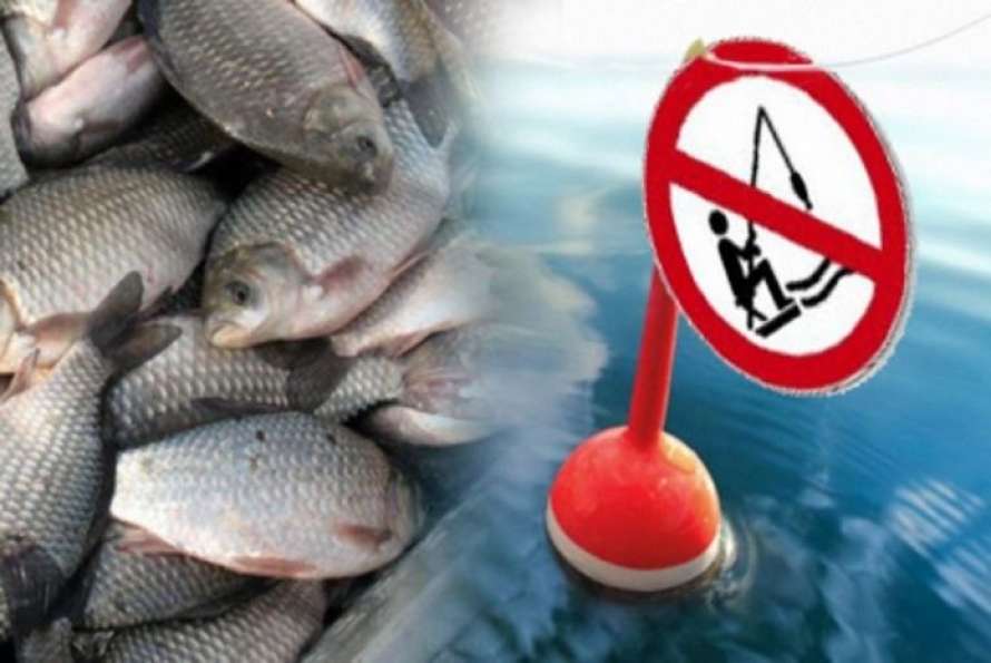 З 1 листопада встановлюється заборона на вилов риби – AgroNews