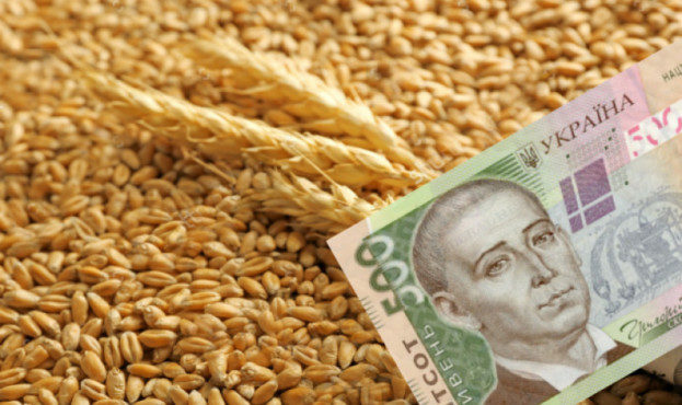 stock-photo-dollar-banknote-and-wheat-grains-agricultural-income-concept-411820909-12756-623x370