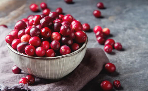 7267-cranberries-in-bowl-sm
