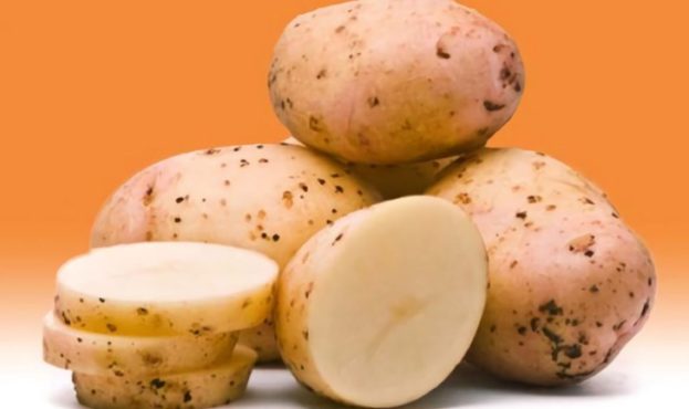 swisspatat-adds-new-potato-variety-on-its-2022-list-1200