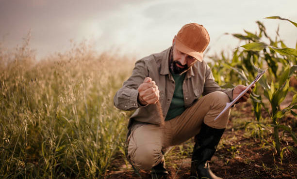 Photo of farmer analyzes his land