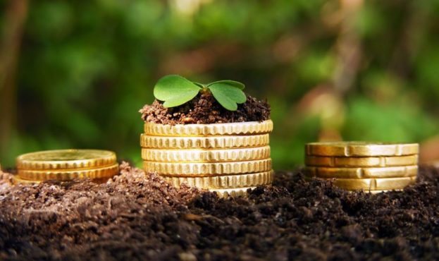 Money growth. Golden coins in soil with young plant.