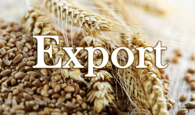 зерно-експорт