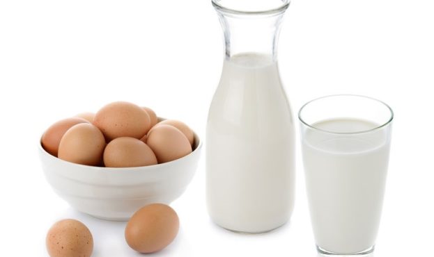 protein from eggs iand milkl isolate on white