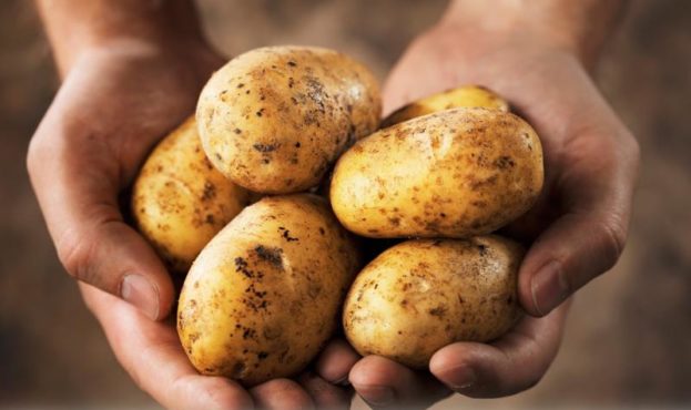 potatoes-1