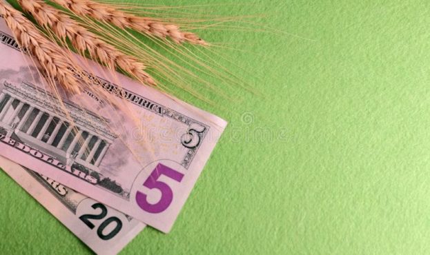 концепция-цены-зерна-торговых-связей-земледелия-колоска-пшеницы-на-136435065