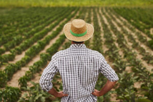 depositphotos_416918572-stock-photo-farmer-in-hat-standing-on