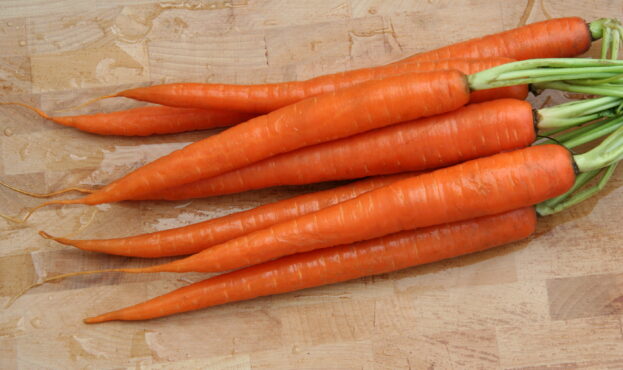 CarrotRoots