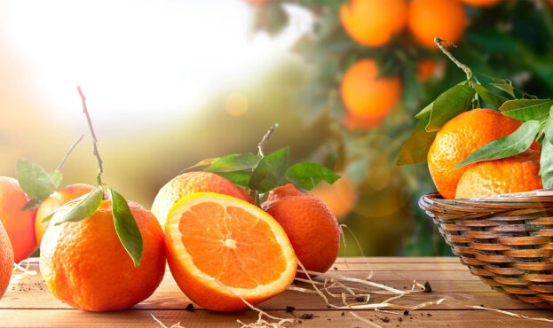cikavi-fakti-pro-apelsini