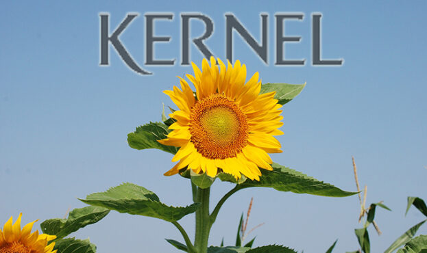d381bdd-kernel