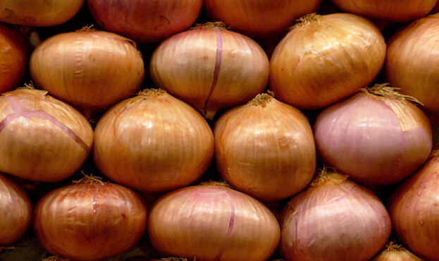 onion-1