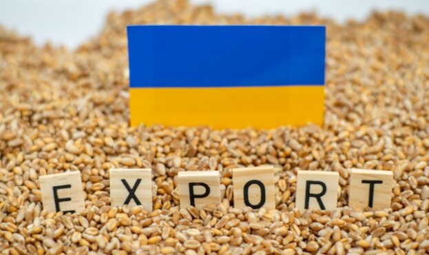 ukrajini-kritichno-vazhlivo-ryatuvati-ne-lishe-eksport-a-vsyu-agrarnu-galuz