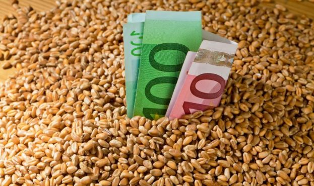 пшениця-в-євро