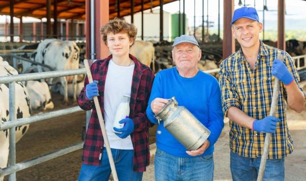 Three,Various,Aged,Male,Dairy,Farmer,Standing,In,Barn,At