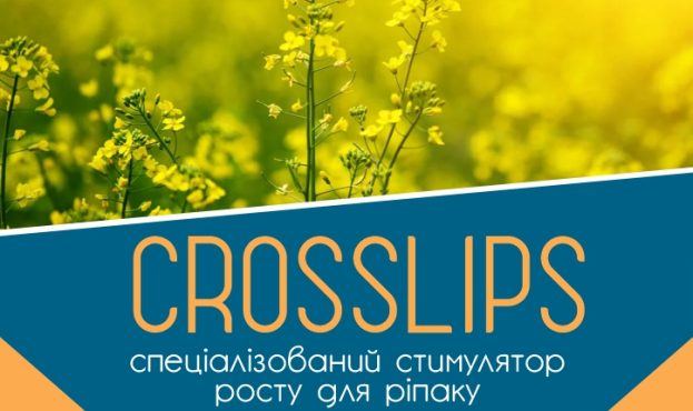 Анонс Crosslips 1