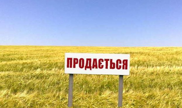 Стало відомо, як визначити ціну продажу землі