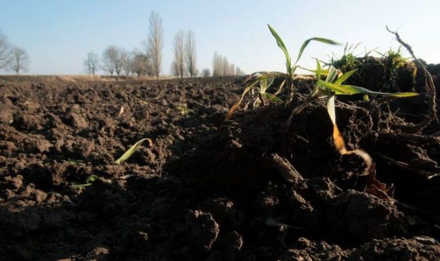 Сукупні надходження від сільгоспземель до бюджетів громад збільшились на 15%