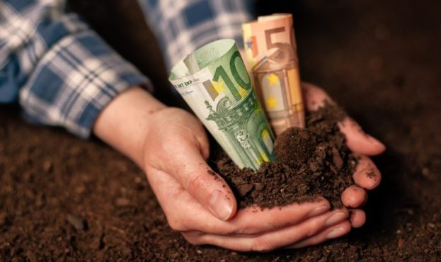 Відмова від продажу землі орендарю: що потрібно знати