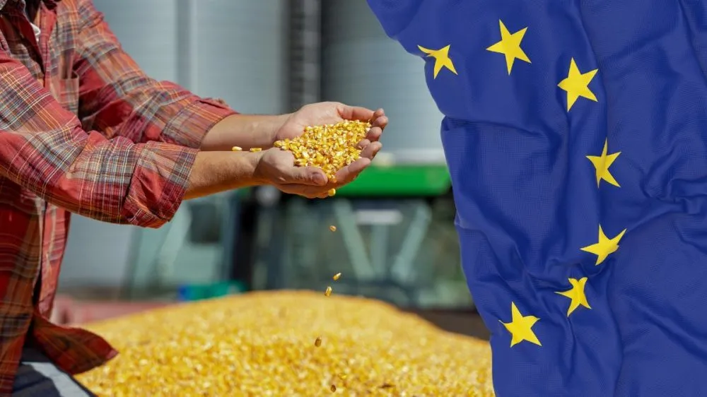 Чому Європа проти імпорту української продукції