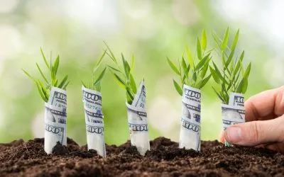 Зарплата у сільському господарстві зросла на 47%