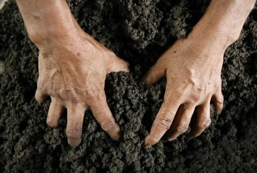 Stolen Land on Paper: Russia Formalizes Control over Ukraine’s Agricultural Resources