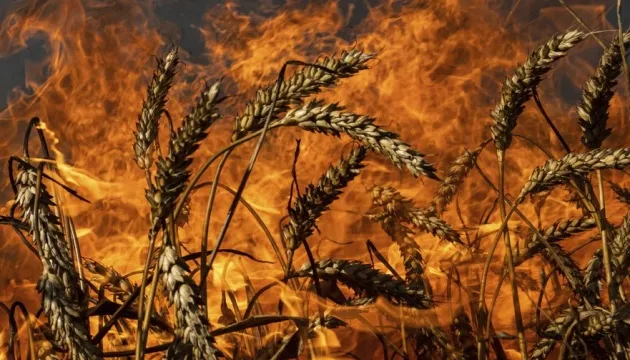 На Херсонщині росіяни атакували з дрона комбайн