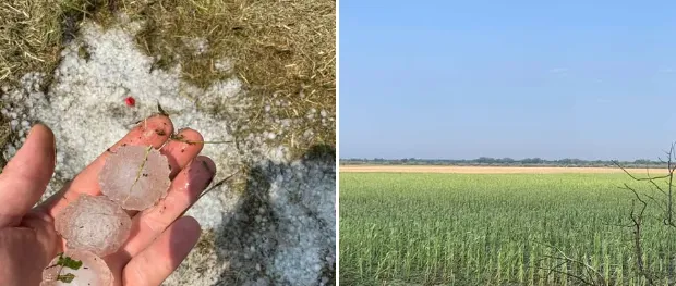 На Полтавщині стихія завдала мільйонних збитків аграріям