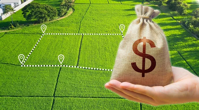 За чотири роки ціни на землю в Україні сягнули рекорду
