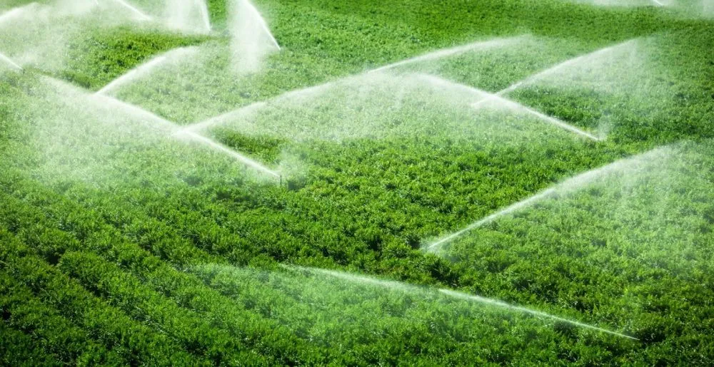 Японія поділиться з Україною новітніми розробками у сфері меліорації Японія поділиться з Україною новітніми розробками у сфері меліорації