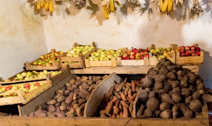 Як правильно зберігати картоплю, моркву та капусту у хорошому стані всю зиму