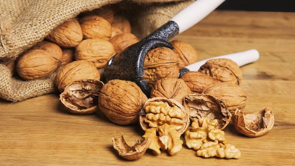 Фермери з Одещини створили горіховий сад на 105 га і готуються до світового ринку