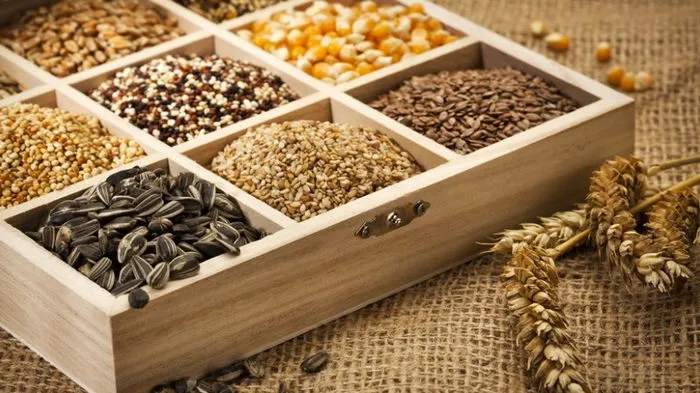 Як правильно зберігати насіння, щоб воно не зіпсувалося до посіву