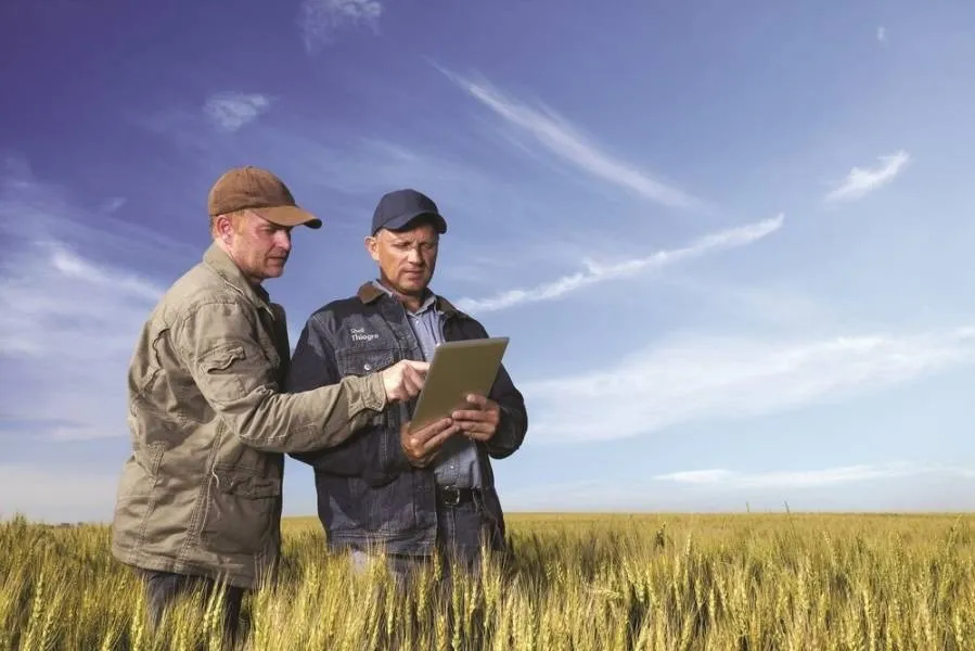 Як збільшити продажі: експерт пояснив психологію фермерських продажів