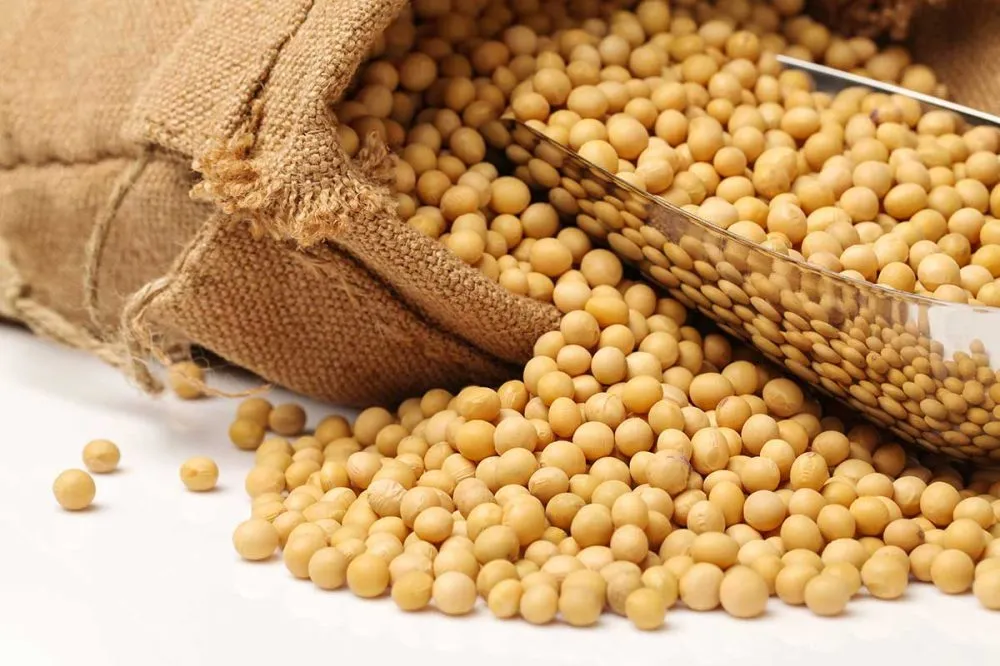 На Одещині викрили схему тіньового експорту соєвих бобів