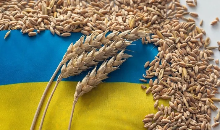 В Україні подешевшав експорт пшениці: озвучено причини