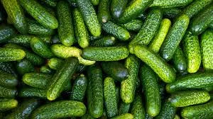 Ціни на огірки в Україні б’ють рекорди