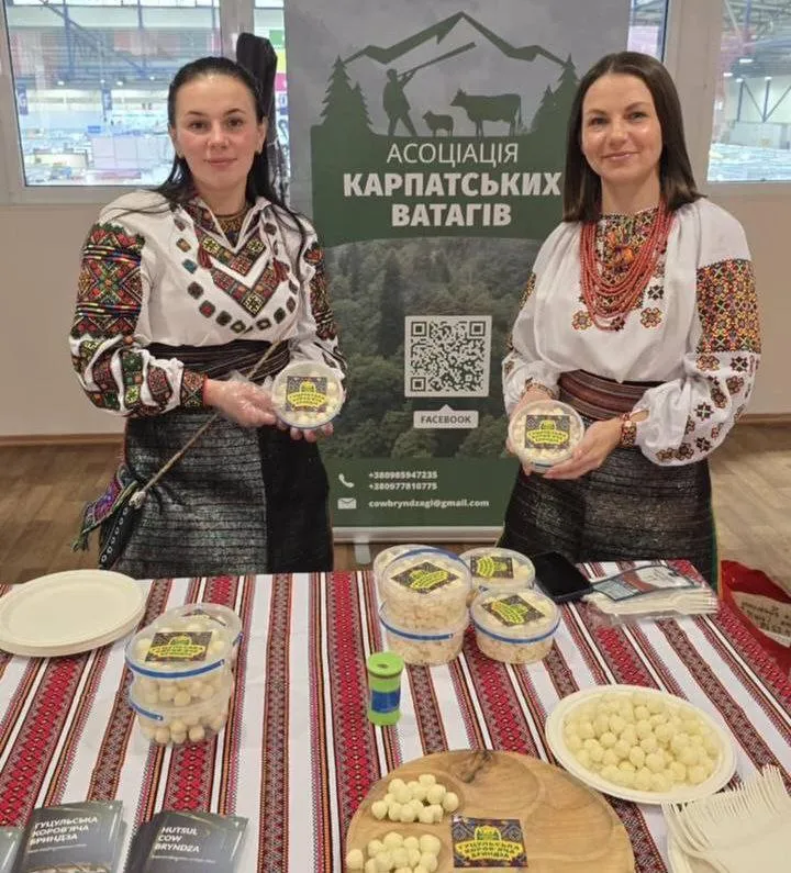 У Карпатах зростає виробництво коров’ячої бриндзи