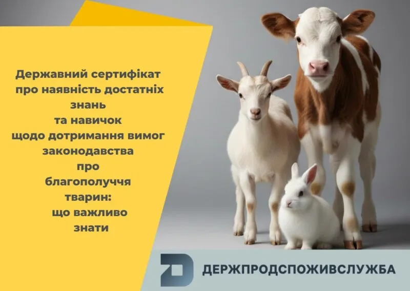 Як отримати держсертифікат про наявність знань і навичок у сфері благополуччя тварин